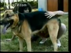 A couple of sex-hungry dilettante doxies jerk off a large German sheep.